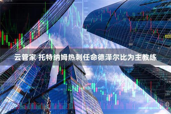 云管家 托特纳姆热刺任命德泽尔比为主教练