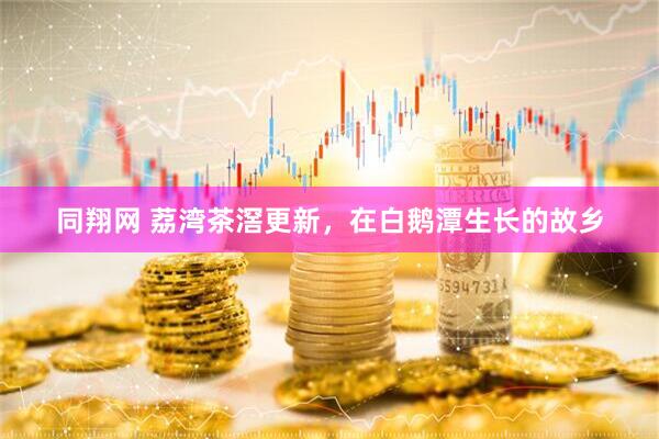 同翔网 荔湾茶滘更新，在白鹅潭生长的故乡