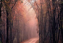 用什么软件玩股票比较好:股票基本面app-8月十大牛股出炉：戈碧迦逾155%涨幅问鼎榜首